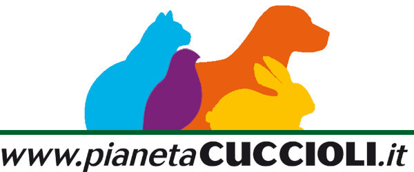 Il Portale del Cavallo