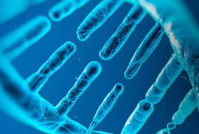 UNA MOZIONE AL VOTO DI ENVI VUOLE ELIMINARE LA POSSIBILITA’ DI CURARE GLI ANIMALI CON GLI ANTIBIOTICI