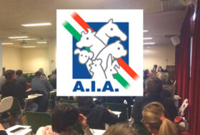 A.I.A. condivide la proposta in sede di Commissione Europea per consentire una gestione “attiva” del lupo