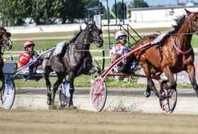 Si torna a correre Mercoledì 10 Giugno all’ippodromo di Vinovo
