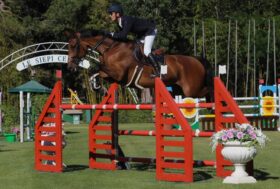 Equitazione, eletti a Le Siepi i campioni emiliani