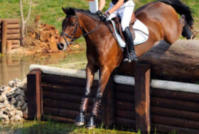 De Simone al via a Luhmulhen