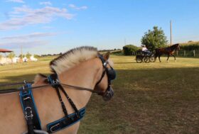Successo per lo stage tenuto da Cividini in Emilia Romagna