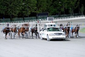 Cesena Trotto, sabato Premio AIDA