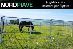 NORD PIAVE, esperienza, tecnologia, innovazione e qualità al servizio dell’equitazione.