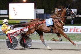 Cesena Trotto, resoconto 86° Campionato Europeo di Trotto Orogel
