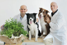 Forza10: ricerche scientifiche