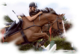 Un gioiello incastonato nella pianura padana: il centro ippico San Damaso