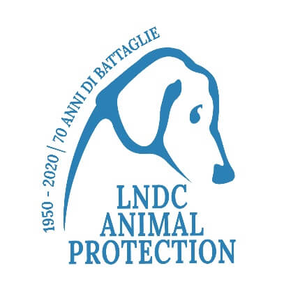 Cavalli, allevamento lager LNDC denuncia: “insensibili alla sofferenza”