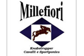Azienda agricola Millefiori centro ippico e allevamento Knabstrupper