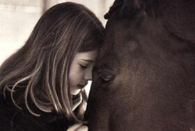 Corso per Assistenti in Riabilitazione Equestre