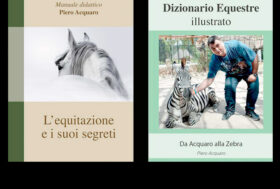 2 LIBRI per le vacanze di Natale: L’Equitazione e i suoi Segreti e il Dizionario Equestre Illustrato Da Acquaro alla Zebra