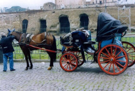 BOTTICELLE, IL TAR CONFERMA L’OBBLIGO DI LAVORARE SOLO NEI PARCHI