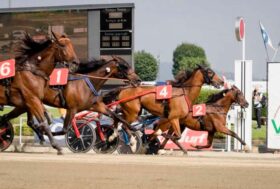 IPPODROMO DI VINOVO: 18 APRILE, SETTE CORSE E PISTA PIENA