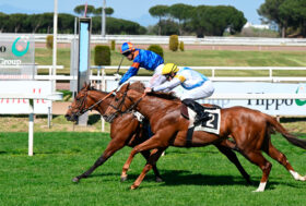 Capannelle, conto alla rovescia per le Ghinee italiane: domenica 1 maggio in programma il Premio Parioli e il Premio Regina Elena
