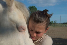 Bambini post Covid: il recupero emotivo è con i cavalli. Al via domenica 23 maggio a Ferrara l’evento “Con-tatto”