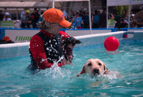 Domani a Bologna per la prima volta arriva Quattrozampeinfiera per un totale divertimento per cani e proprietari