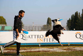 A Bologna tanto sport con il proprio pet. Arriva per la prima volta Quattrozampeinfiera (19 e 20 giugno)