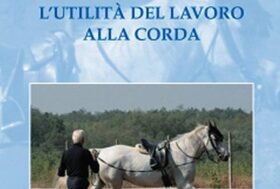 RIFLESSIONI SULL’EQUITAZIONE MODERNA: Perché ancora formazione?