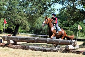 Sport equestri: a Tanca Regia (Abbasanta) nel Completo brillano Luca Riccardi e Andrea Rossi; nel Dressage successo di Piera Monti