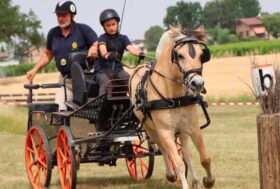Bologna, Coppa delle Regioni F.I.S.E. all’Ippodromo Arcoveggio sabato 24 e domenica 25 luglio 2021