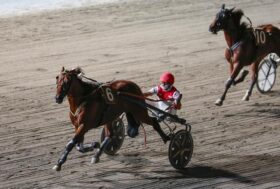 Ippodromo Cesena Trotto: Resoconto delle corse di Martedì 13 Luglio 2021