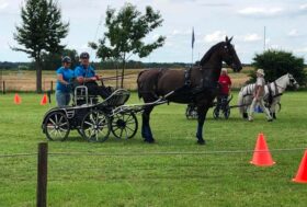 Bella prestazione di Giulio Tronca e Candy nei Campionati del Mondo di Paradriving
