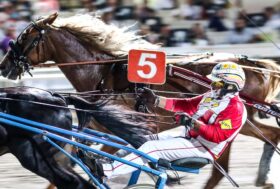 Ippodromo Cesena Trotto: presentazione delle corse di Sabato 21 Agosto 2021