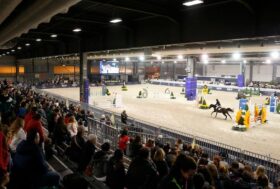 Fieracavalli 2021: doppio fine settimana di passione tra sport e rassegne allevatoriali