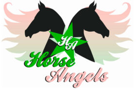 Multa ma niente confisca per le vittime di ETROUBLES