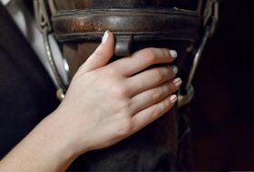 Herpes Virus Equino (Rinopolmonite) ce ne parla il Dott. Piermario Giongo