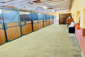 Ecoplus: Le pavimentazioni in gomma di grandi dimensioni