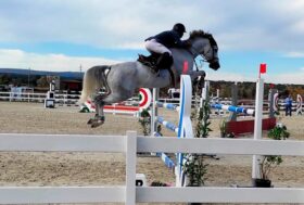 Salto Ostacoli: 230 binomi a Tanca Regia per la 2^ tappa del Trofeo dei Nuraghi