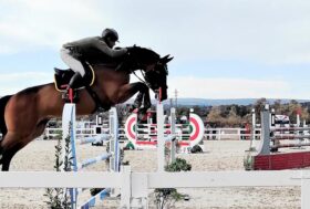 Salto Ostacoli: Simone Coata subito in evidenza, sabato e domenica ancora spettacolo a Tanca Regia col Sardegna Jumping Tour