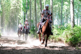 A Montefalco la Coppa delle regioni di Endurance 2021