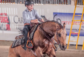 Campionato Italiano Fise-Irha days 3 e 4