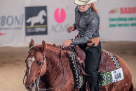 Campionato Italiano Fise-Irha day 2