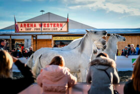 Fieracavalli, 100 mila visitatori in due weekend