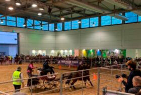 Il G.I.A. con lo Sport Amatoriale Attacchi in Fieracavalli