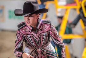 Campionato Italiano Fise-Irha, day 1