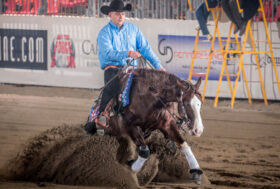 Best composite Open Futurity 3 year-olds: Czechowicz, Barbagli e Beltramini pilotano il gruppo dei finalisti