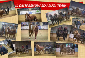 L’associazione ANACAITPR attivissima più che mai sul territorio con i suoi Giganti Buoni, chiude un 2021 ricco di presenze