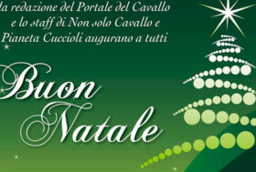 Auguri da tutta la redazione e grazie a tutti