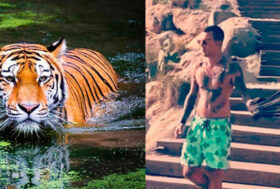 Mirko Tocchio a sostegno delle tigri