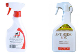 Il cavallo morsica? C’è morso e morso! Impariamo a riconoscere i segnali