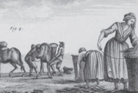 Attacchi: Cacciatori di Maree