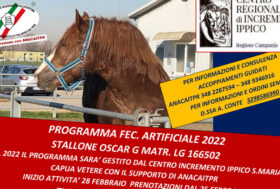 Programma fecondazione aritificiale ANACAITPR 2022