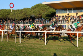 Le corse a San Rossore: domenica 6 marzo 2022