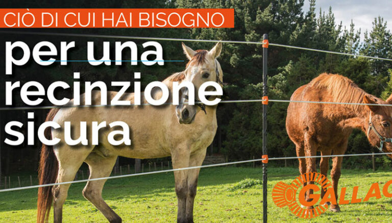 Per proteggere il tuo cane, il tuo cavallo, i tuoi animali e le culture…