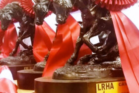 Risultati sabato 1ª tappa LRHA-IRHA-FISE 2022